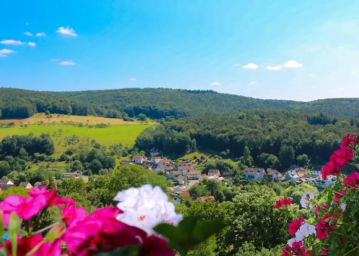 Hotel Panorama Heimbuchenthal